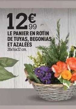 le panier en rotin de tuyas begonias et azalées