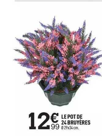 Le Pot De 24 Bruyères