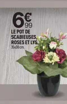 Le Pot De Scabieuses Roses Et Lys