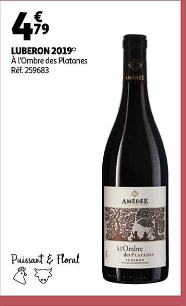 luberon 2019 à l'ombre des platanes