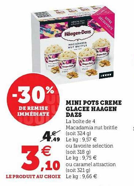 mini pots crème glacée häagen-dazs