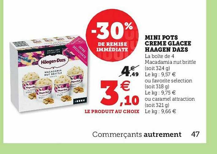 mini pots crème glacée häagen dazs