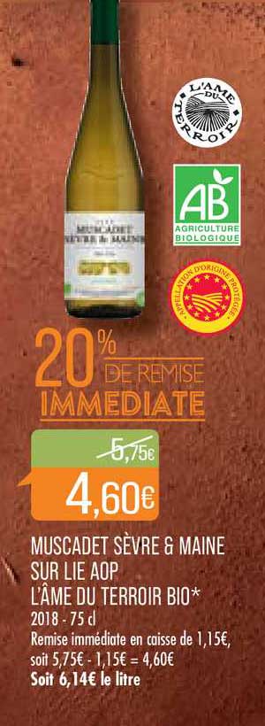 muscadet sèvre & maine sur lie aop l'âme du terroir bio