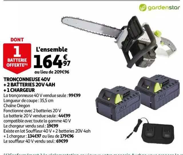 Tronçonneuse 40v + 2 Batterie 20v 4ah + 1 Chargeur