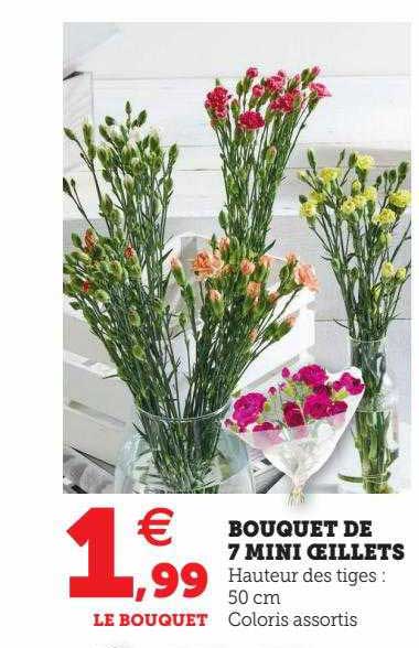 Bouquet De 7 Mini œillets