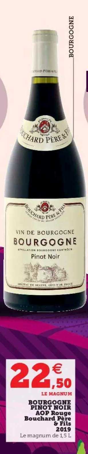 bourgogne pinot noir aop rouge bouchard père & fils 2019