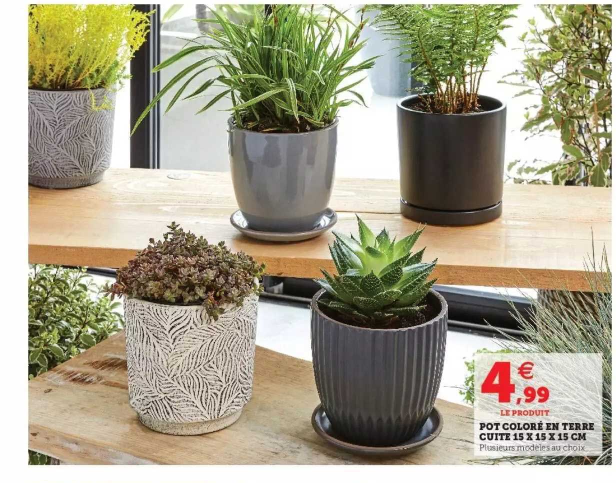 pot coloré en terre cuite