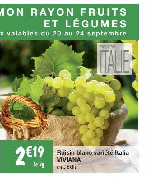 raisin blanc variété italia viviana