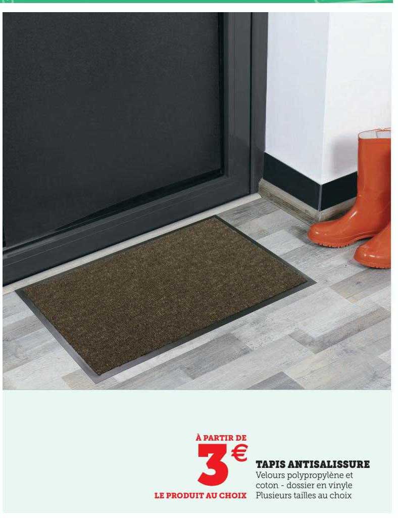 tapis antisalissure