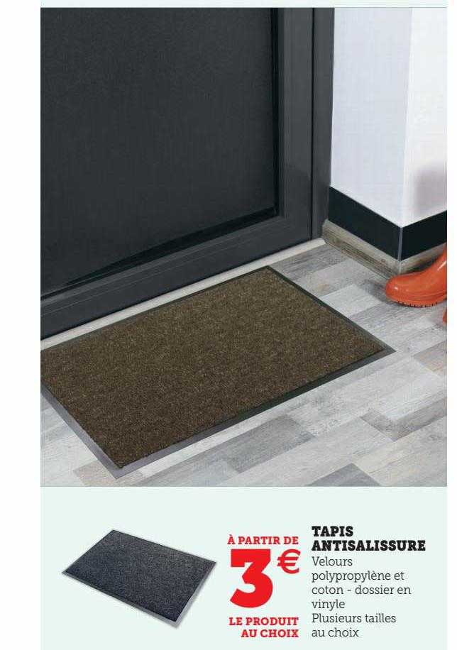 tapis antisalissure