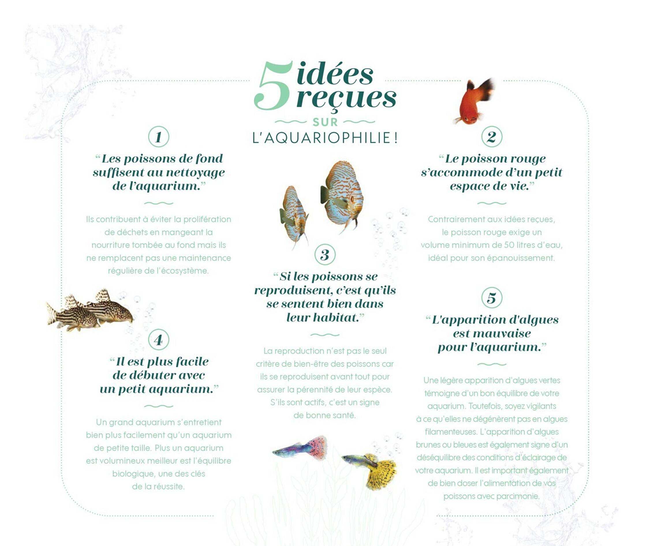 5 idées reçues sur l'aquariophilie!