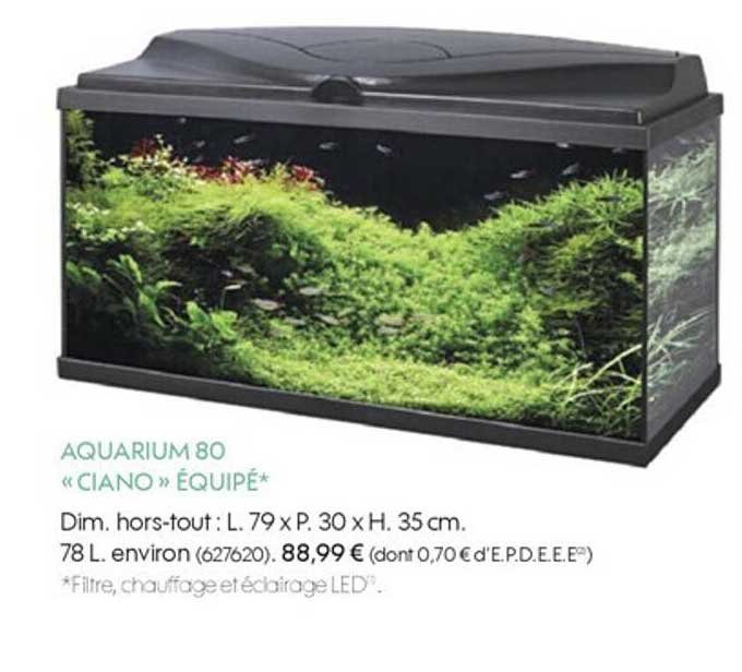 Aquarium 80 «ciano»