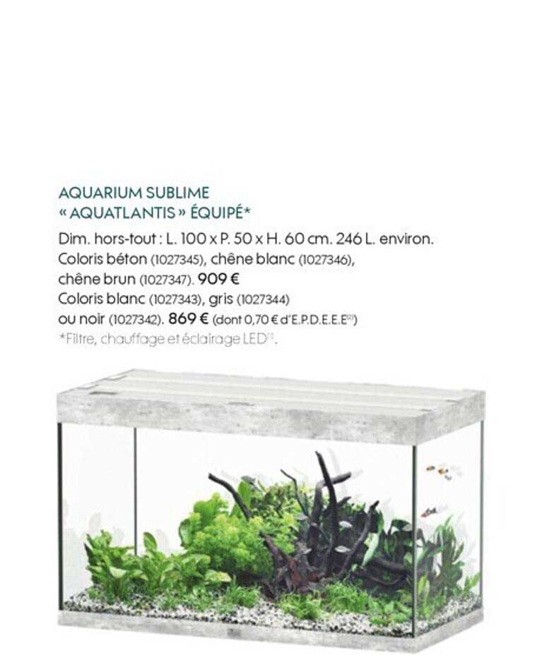 auarium sublime «aquatlantis» équipé