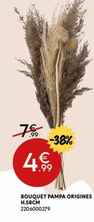 bouquet pampa origines