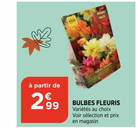bulbes fleuris