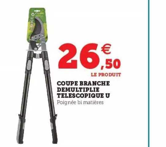 coupe branche démultiplie télescopique u