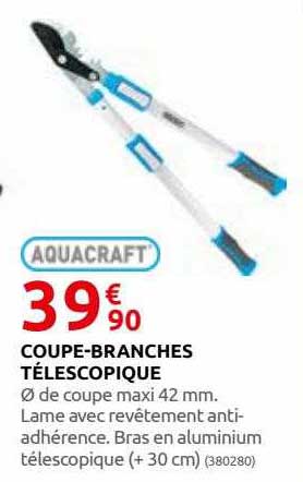 coupe-branches télescopique aquacraft