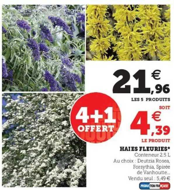 haies fleuries