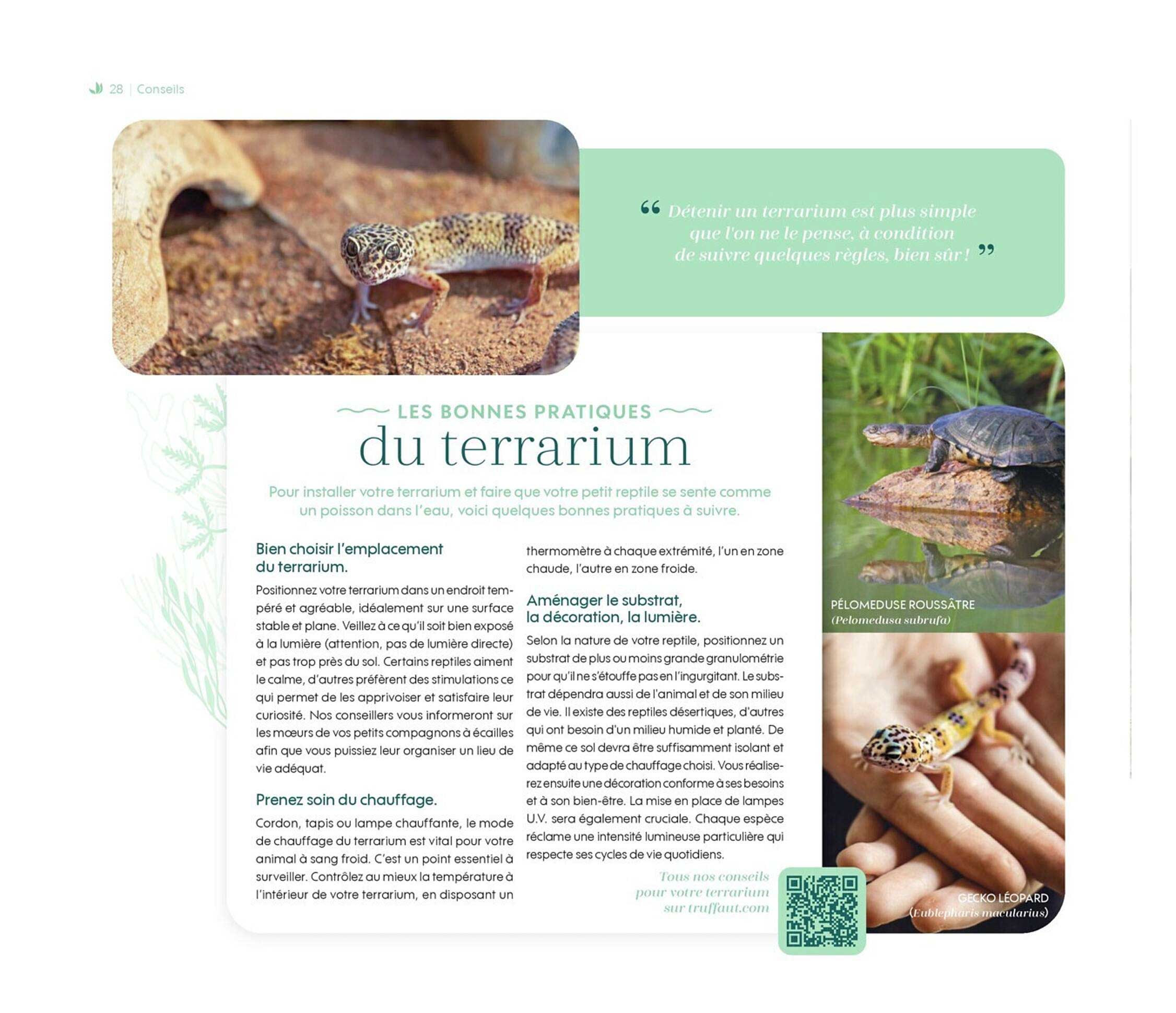 les bonnes pratiques du terrarium