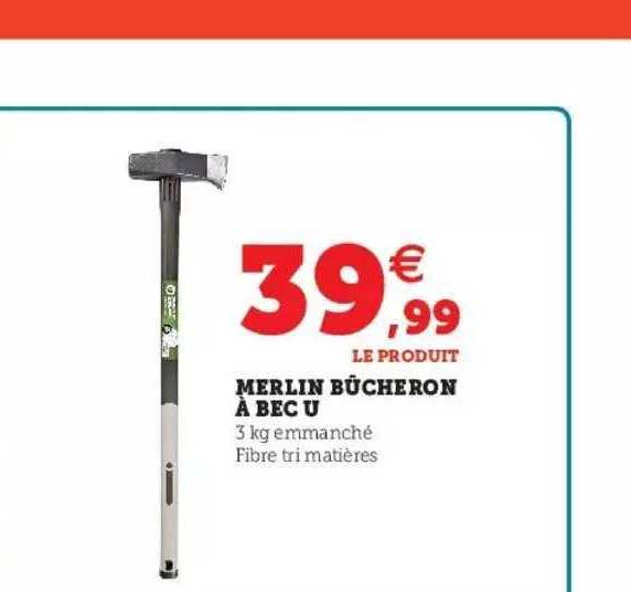 merlin bûcheron à bec u