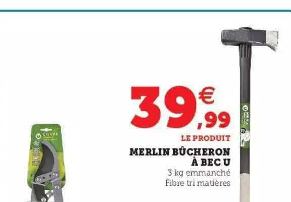 merlin bûcheron à bec u