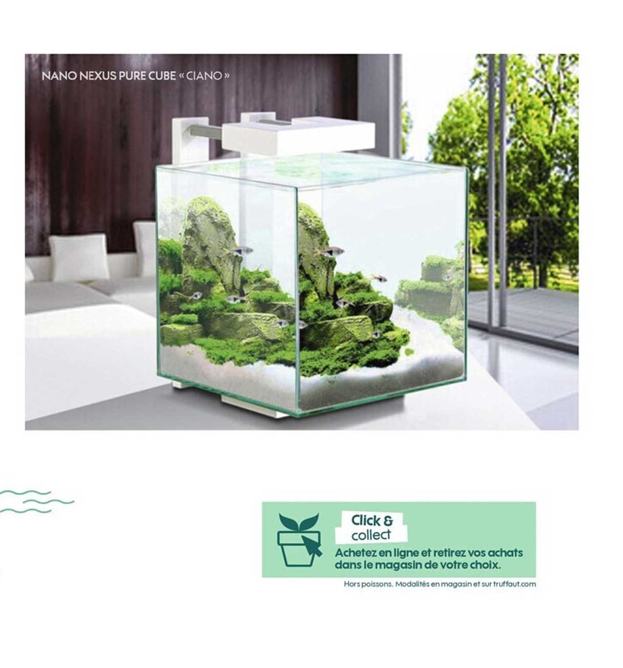 Nano Nexus Pure Cube «ciano»