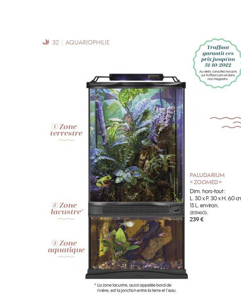 Paludarium «zoomed»