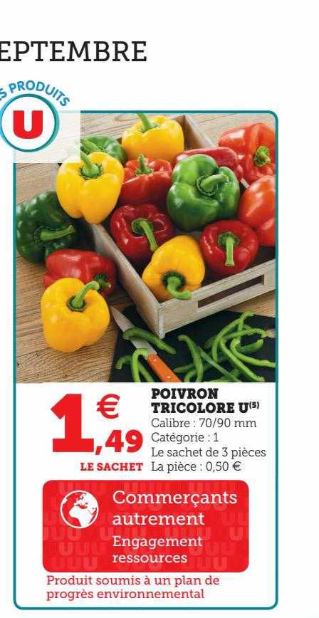 Poivron Tricolore U