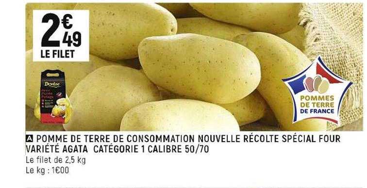pomme de terre de consommation nouvelle récolte spécial four variété agata