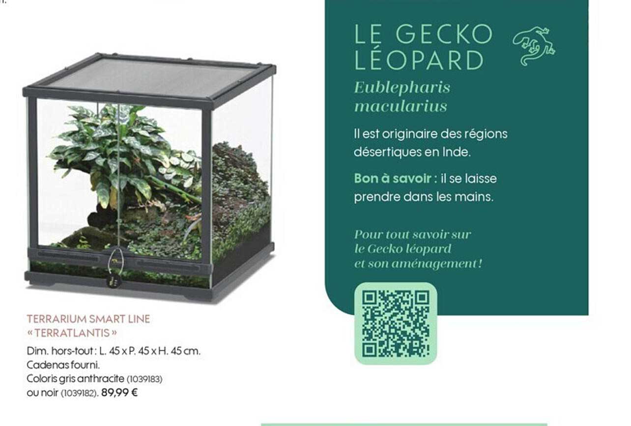 terrarium smart line «terratlantis»