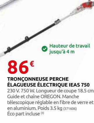 tronçonneuse perche élagueuse électrique ieas 750