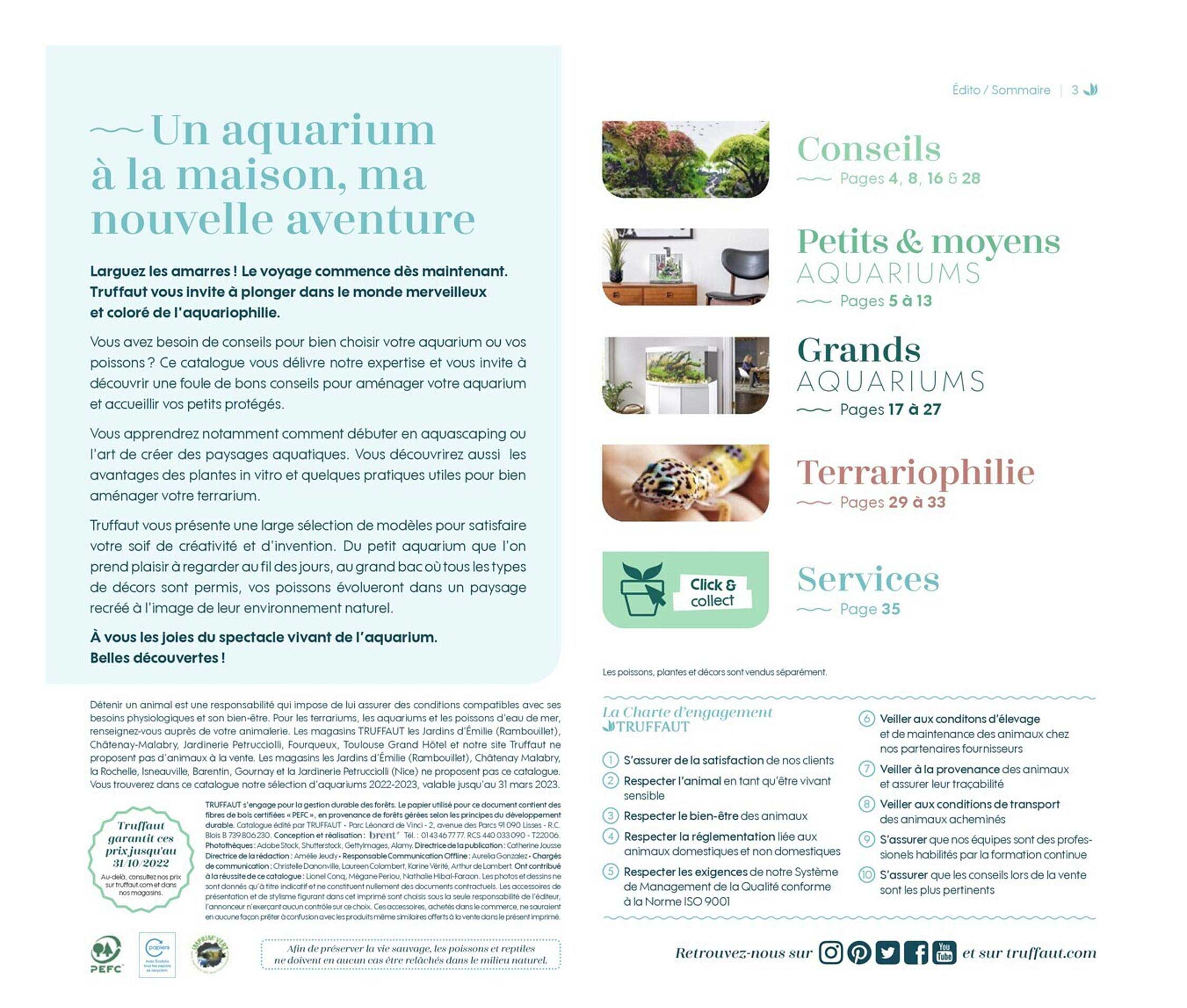 une aquarium à la maison, ma nouvelle aventure