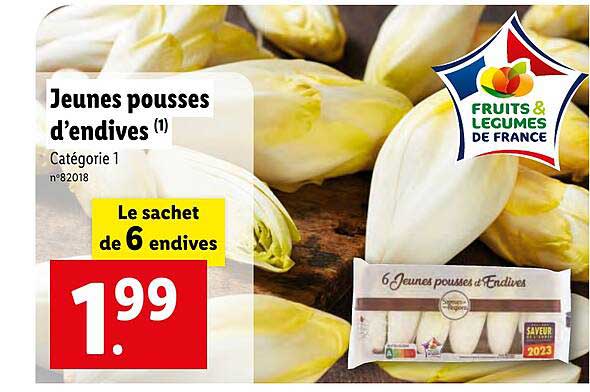 jeunes pousses d'endives