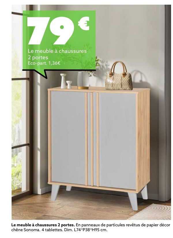 Le Meuble à Chaussures 2 Portes