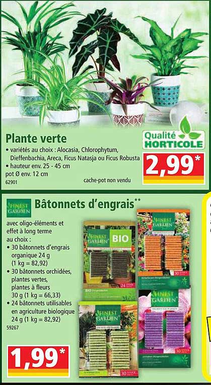 plante verte, bâtonnets d'engrais" finest garden