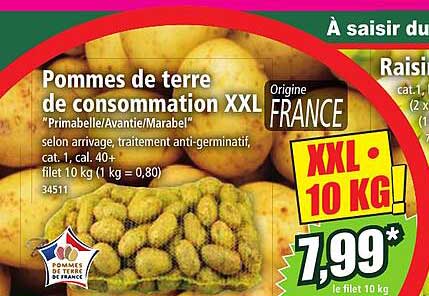 Pommes De Terre De Consommation XXL