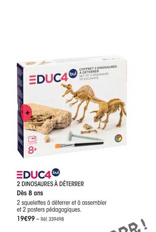 2 dinosaures à déterrer educ4bul