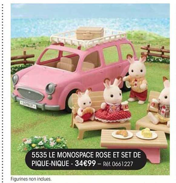 5535 le monospace rose et set de pique-nique