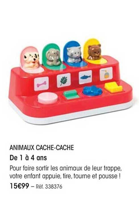 animaux cache-cache