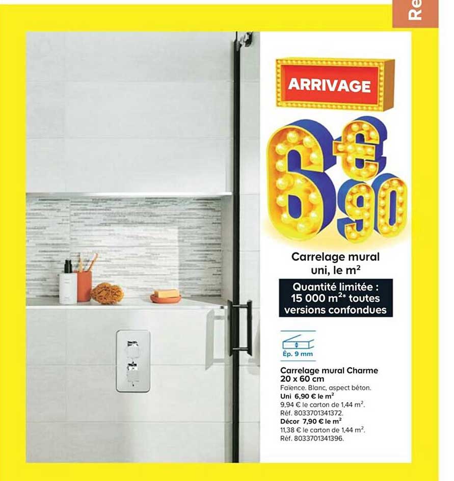 carrelage mural charme 20 x 60 cm