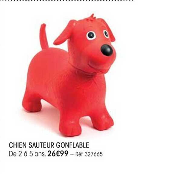 chien sauteur gonflable