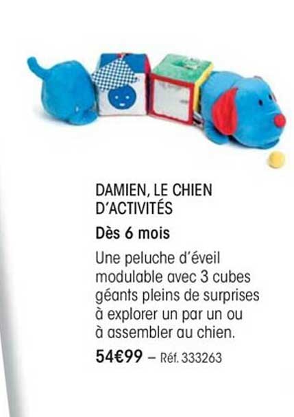 damien, le chien d'activités