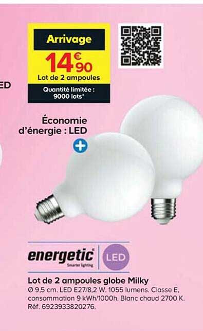 lot de 2 ampoules globe milky energetic