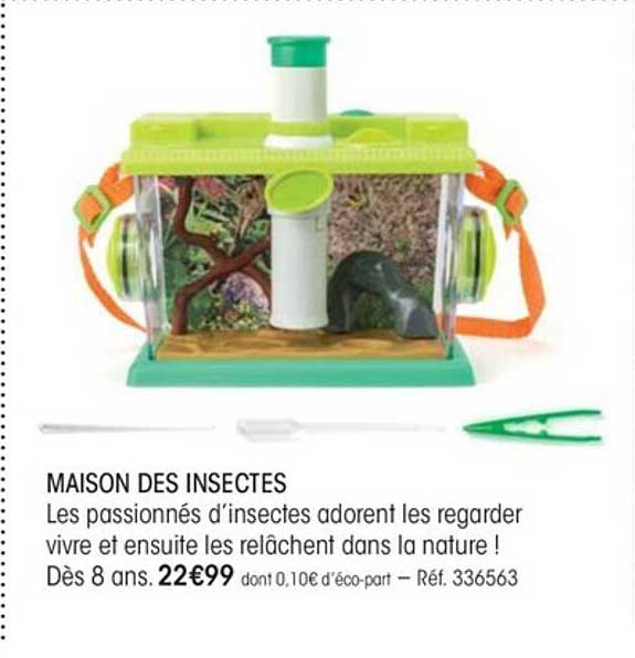 Maison Des Insectes