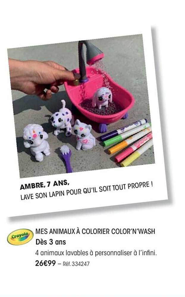 mes animaux à colorier color'n'wash