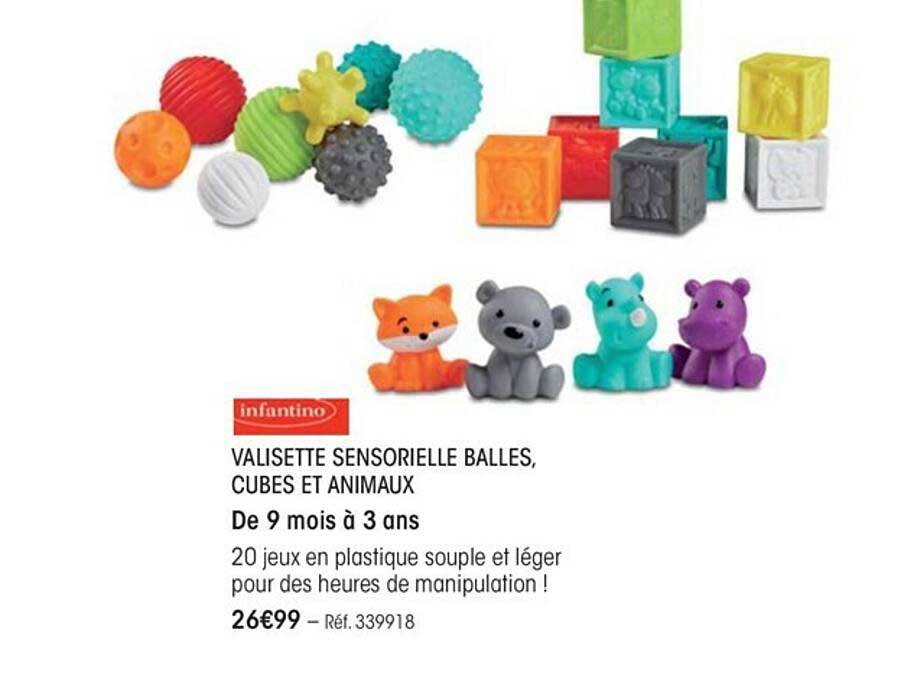 Valisette Sensorielle Balles, Cubes Et Animaux Infantino