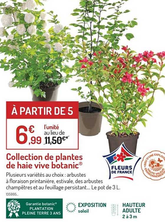 collection de plantes de haie vive botanic