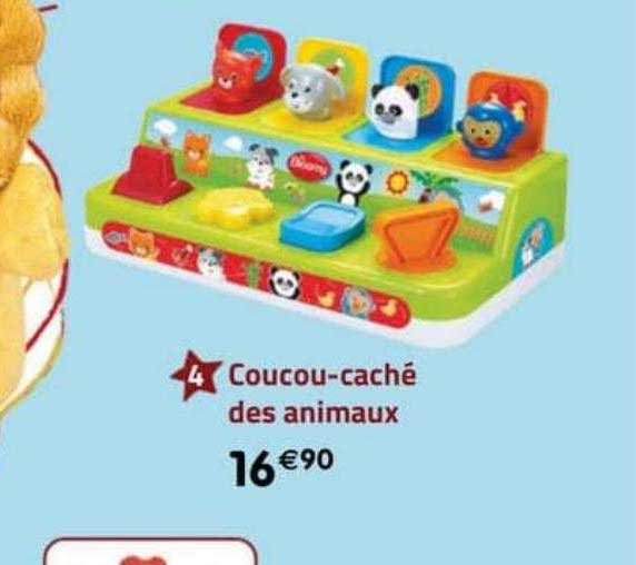 Coucou-caché Des Animaux