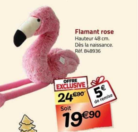 flamant rose