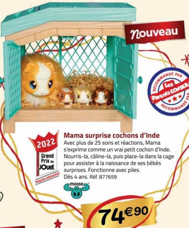 mama surprise cochons d'inde moose
